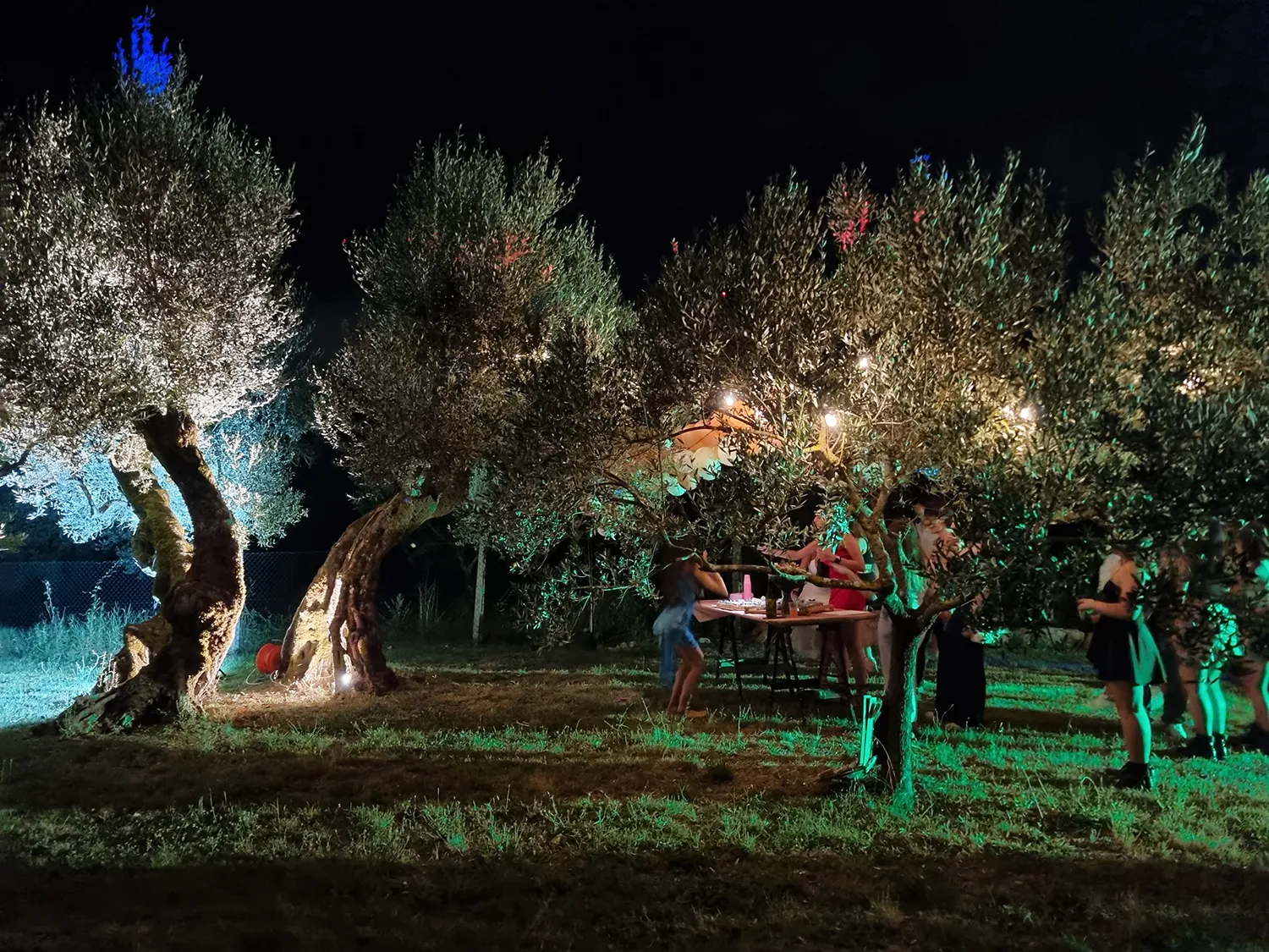 b&b con giardino per serate